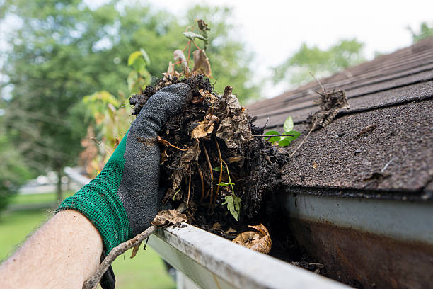 Gutter cleaning in progress