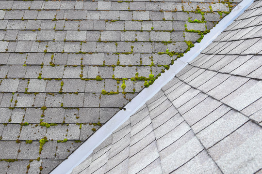 Roof shingles with moss before and after cleaning